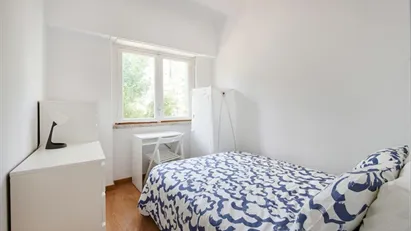 Room for rent in Lisbon (region)