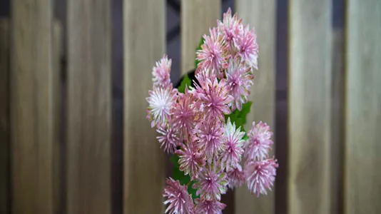 Rooms in Sesto San Giovanni - photo 8