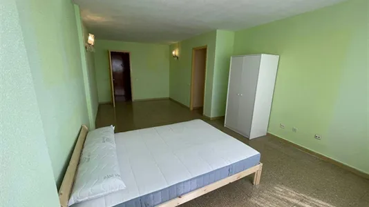 Rooms in Las Palmas de Gran Canaria - photo 2