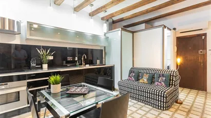 Apartment for rent in Barcelona Ciutat Vella, Barcelona