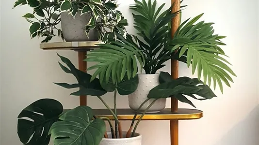 Apartments in Berlin Neukölln - photo 5