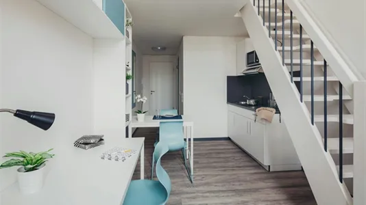 Apartments in Dresden - photo 4