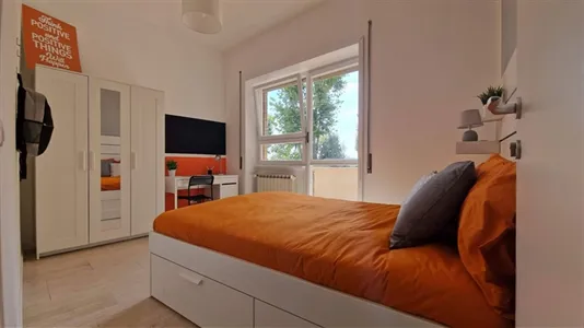 Rooms in Roma Municipio VIII – Appia Antica - photo 4