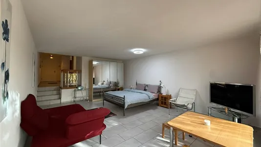 Apartments in Dietikon - photo 3