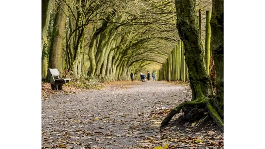 Apartments in Hamburg Eimsbuttel - photo 8
