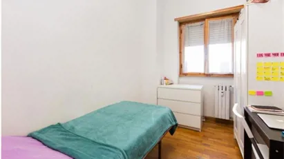 Room for rent in Roma Municipio VIII – Appia Antica, Rome