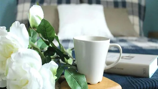 Rooms in Milano Zona 5 - Vigentino, Chiaravalle, Gratosoglio - photo 5