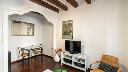 Apartments in Barcelona Ciutat Vella - photo 2