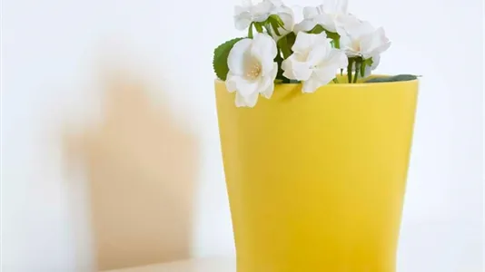 Rooms in Milano Zona 5 - Vigentino, Chiaravalle, Gratosoglio - photo 8