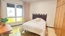 Room for rent, Zaragoza, Aragón, Plaza Santo Domingo