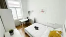 Room for rent, Vienna Josefstadt, Vienna, Tigergasse