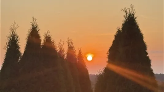 Houses in Södertälje - photo 11