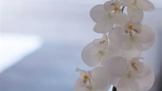 Apartments in Location is not specified - photo 8