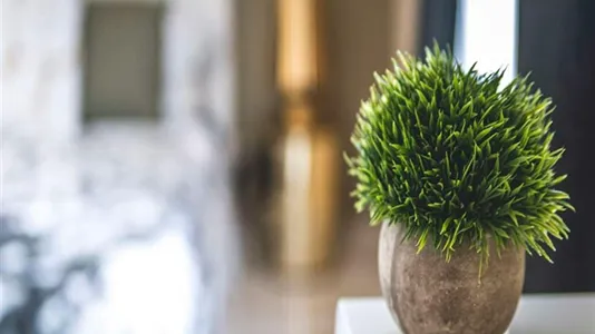 Rooms in Milano Zona 2 - Stazione Centrale, Gorla, Turro, Greco, Crescenzago - photo 6