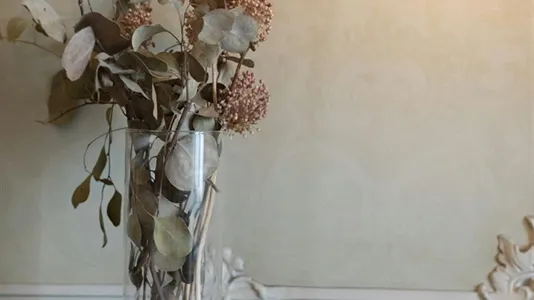 Rooms in Montijo - photo 4