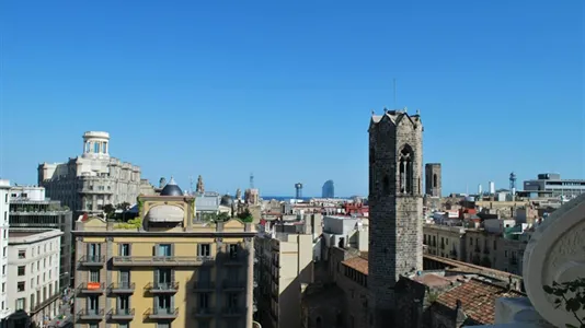 Apartments in Barcelona Ciutat Vella - photo 2