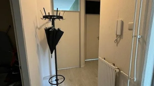 Rooms in Location is not specified - photo 3