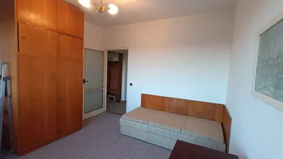 Apartment for rent in Brno