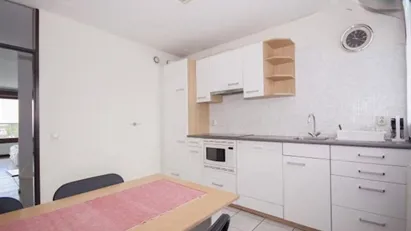 Room for rent in Rotterdam