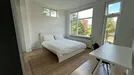 Room for rent, Rotterdam, Talmastraat