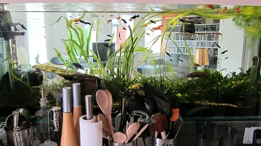 Rooms in Reykjavík Miðborg - photo 10