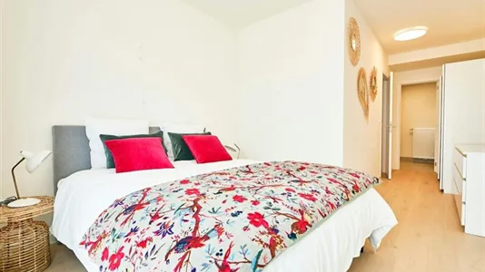 Apartments in Brussels Schaarbeek - photo 4