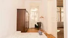 Room for rent, Budapest Terézváros, Budapest, Lovag utca