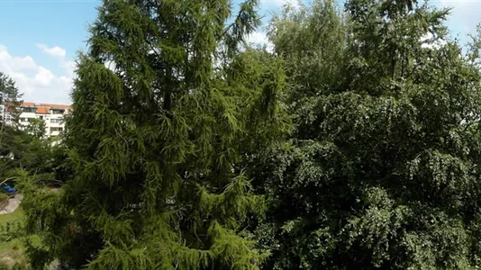 Rooms in Berlin Steglitz-Zehlendorf - photo 5