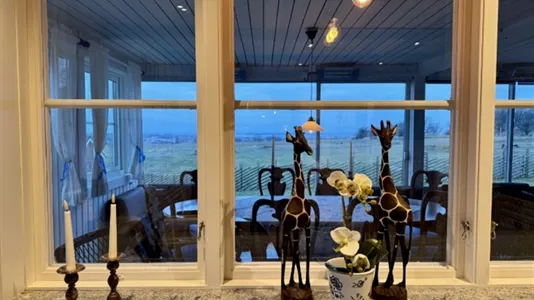 Houses in Båstad - photo 14