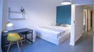 Room for rent, Valencia Ciutat Vella, Valencia (region), Carrer de lAlmudí