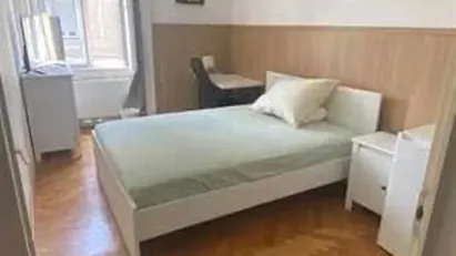 Room for rent in Budapest Erzsébetváros, Budapest