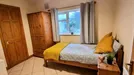 Room for rent, Dublin (county), Shanard Road