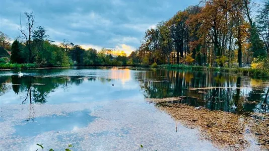 Houses in Niedersachsen Harburg - photo 4