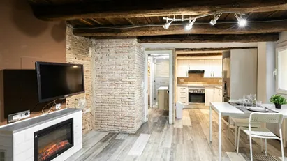 Apartment for rent in Barcelona Ciutat Vella, Barcelona