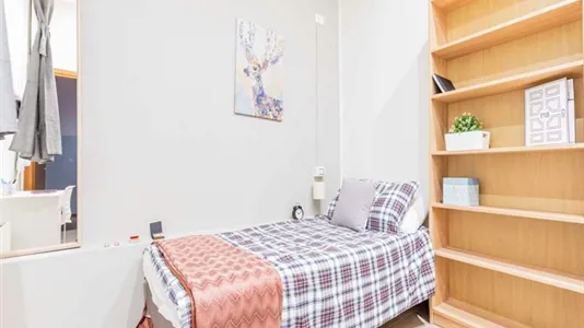 Rooms in Bologna - photo 2