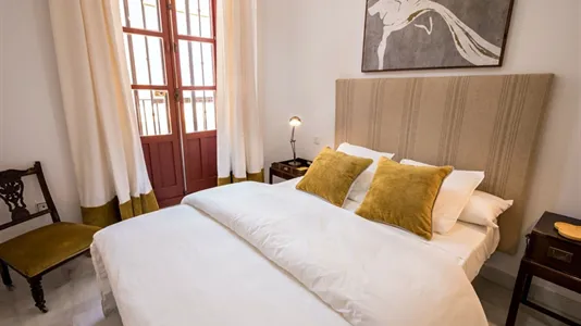 Apartments in Sevilla Casco Antiguo - photo 9