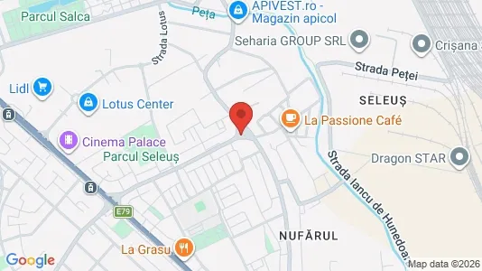 Apartments for rent in Sânmartin - Photo from Google Street View