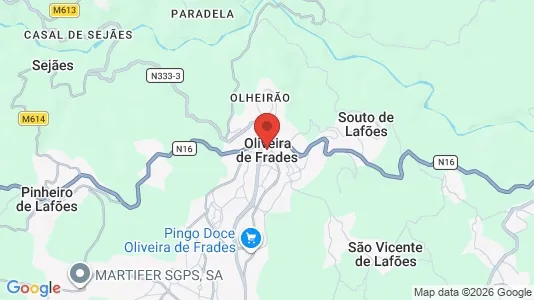 Apartments for rent i Oliveira de Frades - kort over placeringen