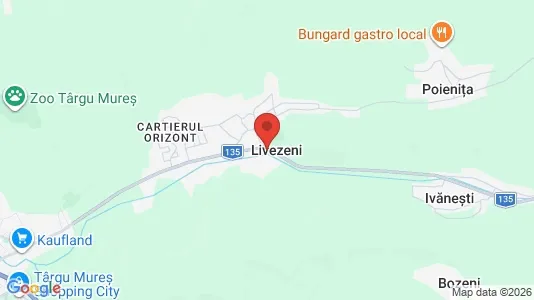 Houses for rent in Livezeni - Photo from Google Street View