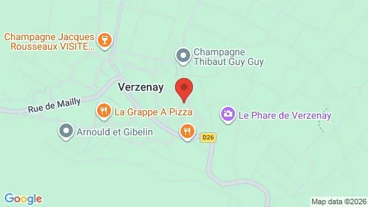 Apartments for rent i Reims - kort over placeringen