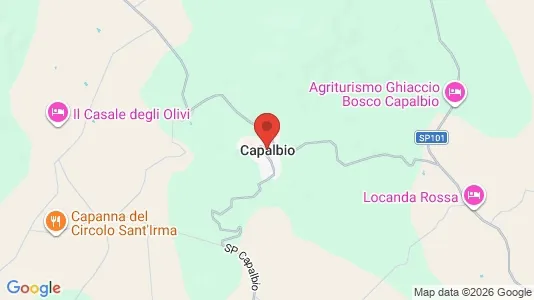 Houses for rent in Capalbio - Photo from Google Street View