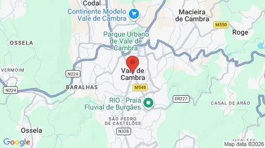 Apartments for rent i Vale de Cambra - kort over placeringen