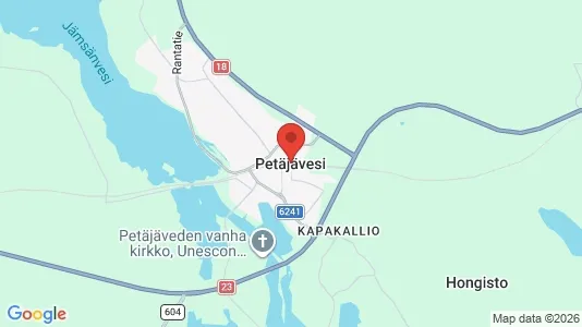 Houses for rent in Petäjävesi - Photo from Google Street View
