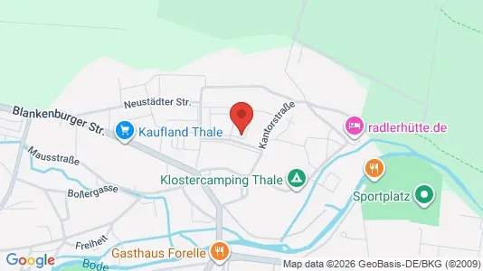 Apartments for rent in Harz - Photo from Google Street View