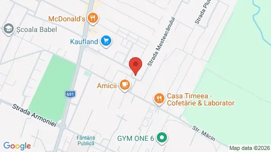 Apartments for rent i Timişoara - kort over placeringen