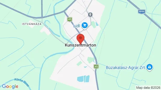 Apartments for rent i Kunszentmártoni - kort over placeringen