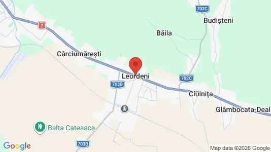 Apartments for rent in Leordeni - Photo from Google Street View