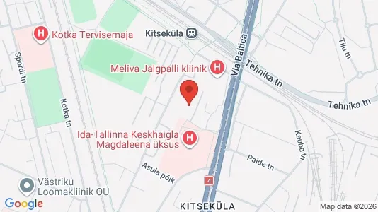 Apartments for rent i Tallinn Kesklinna - kort over placeringen