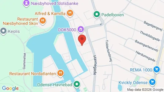 Apartments for rent i Odense C - kort over placeringen