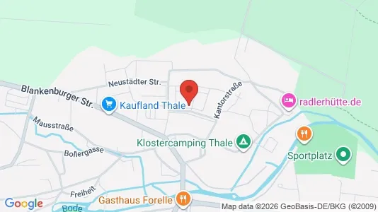 Apartments for rent in Harz - Photo from Google Street View